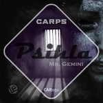 cover: Mr. Gemini - Psihla