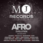 cover: Various - Afro Evolution