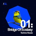 cover: Techno House - Bridge Of Ecstasy