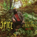 cover: Richie Spice - Valley Of Jehoshaphat (Red Hot)