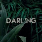 cover: Gioli & Assia - Darling