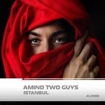 cover: Amind Two Guys - Istanbul