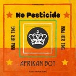 cover: Afrikan Boy - No Pesticide