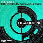 cover: Everlight - Microgravity