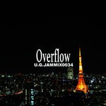 cover: Shoko Rasputin - Overflow