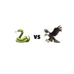 cover: Blanka - Snake vs Eagle