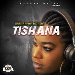 cover: Tishana - Tribute To Mr Andy