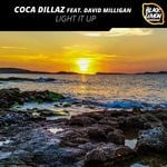 cover: Coca Dillaz|David Milligan - Light It Up