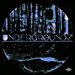 cover: Various - Undergroundz Vol 8