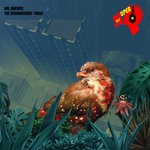 cover: Mr Brewer - The Strawberry Finch