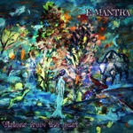 cover: E-mantra - Visions From The Past