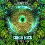 cover: Chris Rich - Self Oscillation