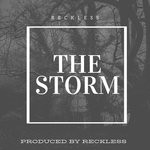 cover: Reckless - The Storm