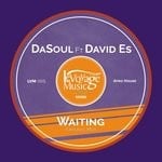 cover: Dasoul & David Es - Waiting