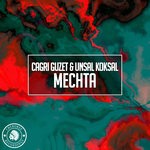 cover: Cagri Guzet & Unsal Koksal - Mechta