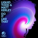 cover: Liquid Todd|Matt Kerley - Do It Like That