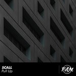 cover: Scall - Pull Up