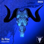 cover: Dj Pilot - Broken Bird