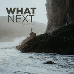 cover: Goodluck - What Next