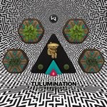 cover: Various - Tulumination