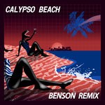 cover: Northeast Party House - Calypso Beach (Benson Remix)