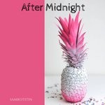 cover: Sam Rotstin - After Midnight EP