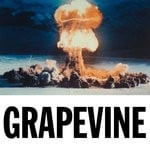 cover: Tiesto - Grapevine