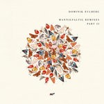 cover: Dominik Eulberg - Mannigfaltig Remixes Pt 2