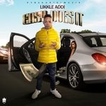 cover: Likkle Addi - Easy Does It