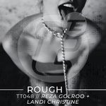 cover: Landi Christine|Reza Golroo - Rough