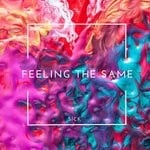 cover: S!ck - Feeling The Same