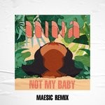 cover: Inna - Not My Baby