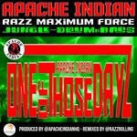 cover: Apache Indian - One Of Those Dayz