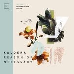 cover: Kaldera - Reason Of Necessary