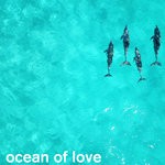 cover: Fear Of Tigers - Ocean Of Love