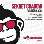 cover: Sekret Chadow - The Past Is Now