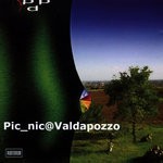 cover: Various - Picnic@valdapozzo