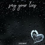 cover: Jazeel - Say Your Lies