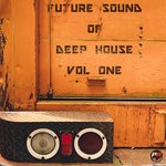 cover: Various - Future Sound Of Deep House Vol 1