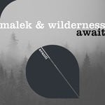 cover: Malek|Wilderness - Await (Extended Mix)