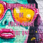 cover: Various - Future Sound Of Vocal House Vol 1