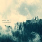 cover: Eyvind Blix - Tolmekian Layer