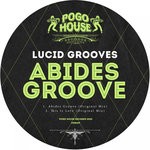 cover: Lucid Grooves - Abides Groove