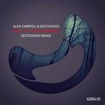 cover: Section303 & Alex Carroll - Out In The Woods