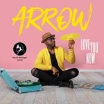 cover: Arrow - Love You Now (David Michigan Remix)