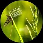 cover: Lotche - Tranquil