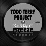 cover: Todd Terry - Can U Dig It?