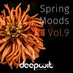 cover: Various - Spring Moods Vol 9