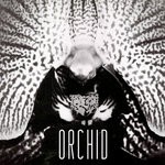 cover: Kabanjak - Orchid