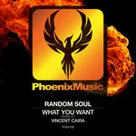 cover: Random Soul - What You Want (Vincent Caira Remix)